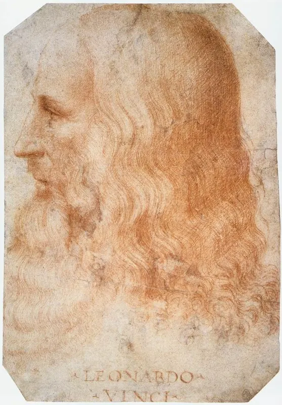 Attributed to Francesco Melzi. Portrait of Leonardo, about 1515–1518. Detail.